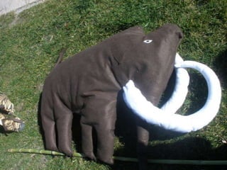 CARNAVAL EN EL PERDIGÓN