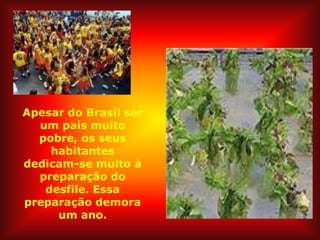 Apesar do Brasil ser
  um país muito
  pobre, os seus
    habitantes
dedicam-se muito à
  preparação do
   desfile. Essa
preparação demora
     um ano.
 