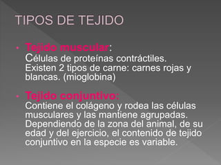 • Tejido muscular:
Células de proteínas contráctiles.
Existen 2 tipos de carne: carnes rojas y
blancas. (mioglobina)
• Tejido conjuntivo:
Contiene el colágeno y rodea las células
musculares y las mantiene agrupadas.
Dependiendo de la zona del animal, de su
edad y del ejercicio, el contenido de tejido
conjuntivo en la especie es variable.
 