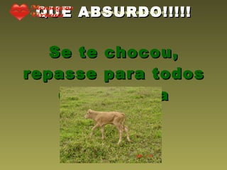 QUE ABSURDO!!!!! Se te chocou, repasse para todos da sua lista www.mensagensvirtuais.com.br 