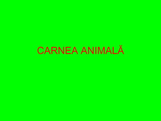 CARNEA ANIMAL Ă 