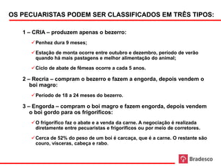 OS PECUARISTAS PODEM SER CLASSIFICADOS EM TRÊS TIPOS:

     1 – CRIA – produzem apenas o bezerro:
        Penhez dura 9 meses;

        Estação de monta ocorre entre outubro e dezembro, período de verão
         quando há mais pastagens e melhor alimentação do animal;

        Ciclo de abate de fêmeas ocorre a cada 5 anos.

     2 – Recria – compram o bezerro e fazem a engorda, depois vendem o
        boi magro:
        Período de 18 a 24 meses do bezerro.

     3 – Engorda – compram o boi magro e fazem engorda, depois vendem
        o boi gordo para os frigoríficos:
        O frigorífico faz o abate e a venda da carne. A negociação é realizada
         diretamente entre pecuaristas e frigoríficos ou por meio de corretores.

        Cerca de 52% do peso de um boi é carcaça, que é a carne. O restante são
         couro, vísceras, cabeça e rabo.


19
 