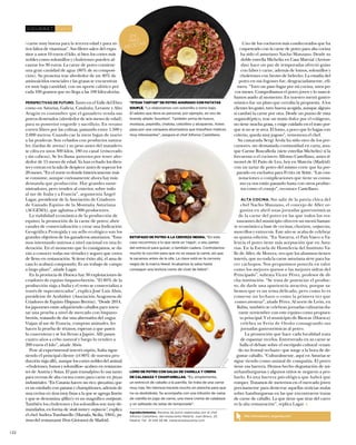 Uno de los cocineros más condecorados que ha
coqueteado con la carne de potro para alta cocina
ha sido el asturiano Nacho Manzano. Desde su
doble estrella Michelin en Casa Marcial (Arrion-
das) hace un par de temporadas ofreció guiso
con fabes y carne, además de lomos, solomillos y
chuletones con brotes de helecho. La estadía del
potro en sus fogones fue, desgraciadamente, efí-
mera. “Tuvo un paso fugaz por mi cocina, unos po-
cos meses. Comprábamos el potro joven y lo marcá-
bamos asado al momento. En nuestro menú gastro-
nómico fue un plato que cerraba la propuesta. A los
clientes les gustó, tuvo buena acogida, aunque alguno
sí cambió la carne por otra. Desde un punto de vista
organoléptico, trae un matiz dulce por el colágeno,
no tiene mucha grasa, y exige cuidado en el trato por-
que si no se te seca. El lomo, a poco que lo hagas con
criterio, queda muy jugoso”, rememora el chef.
Su camarada Sergi Arola ha sido otro de los pre-
cursores, sin demasiada continuidad en carta, aun-
que Carme Ruscalleda (siete estrellas Michelin) sí la
frecuenta o el cocinero Alfonso Castellano, antes ti-
monel de El Patio de Leo, hoy en Materia (Madrid)
con un tartar de potro del mismo corte que ha pre-
parado en exclusiva para FUERA DE SERIE. “Las con-
notaciones o complicaciones que tiene su consu-
mo ya nos están pasando hasta con otros produc-
tos como el conejo”, reconoce Castellano.
ALTA COCINA. Sin salir de la patria chica del
chef Nacho Manzano, el concejo de Aller or-
ganiza en abril unas jornadas gastronómicas
de la carne del potro en las que todos los res-
taurantes del municipio ofrecen un menú bastan-
te económico a base de cecinas, chorizos, carpaccios,
morcillos y entrecots. Este año se acaba de celebrar
su quinta edición. “En Navarra, el País Vasco o Va-
lencia el potro tiene más aceptación que en Astu-
rias. En la Escuela de Hostelería del Instituto Va-
lle de Aller, de Morera, veo que los alumnos tienen
interés, que no toda la carne asturiana sirve para ha-
cer cachopos. Nos propusimos ponerla en valor
como los mejores quesos o las mejores sidras del
Principado”, subraya Víctor Pérez, profesor de di-
cha institución. “Se trata de potenciar el produc-
to, de darle una apariencia atractiva, porque sa-
bemos que es un tema delicado, pero como lo es
comerse un lechazo o como la primera vez que
comes avestruz”, añade Pérez. Al norte de León, en
Babia, también se celebran jornadas culinarias du-
rante noviembre con este equino como propues-
ta principal. Y el municipio de Biescas (Huesca)
celebra su Feria de Otoño consagrando sus
jornadas gastronómicas al potro.
La promoción que hace cada localidad trata
de espantar recelos. Entreverado en su carne se
halla el debate sobre el escrúpulo cultural –cuan-
do no frontal rechazo– que surge a la hora de de-
gustar caballo. “Culturalmente, aquí en Asturias se
sigue viendo como animal de compañía. El potro
tiene esa barrera. Hemos hecho degustación de mi-
ni-hamburguesas y algunos niños se negaron a pro-
barlo. Es una barrera psicológica que habrá que
romper. Tratamos de meternos en el mercado joven
precisamente para desterrar aquellas noticias malas
sobre hamburguesas en las que encontraron trazas
de carne de caballo. La que tiene que tirar del carro
es la alta restauración”, replica Lagar.
carne muy buena para la tercera edad y para ni-
ños faltos de vitaminas”. Sus filetes salen del expo-
sitor a unos 10 euros el kilo, si bien los cortes más
nobles como solomillos y chuletones pueden al-
canzar los 30 euros. La carne de potro contiene
una gran cantidad de agua (80% de su composi-
ción). Su proteína trae alrededor de un 40% de
aminoácidos esenciales y las grasas se encuentran
en muy baja cantidad, con un aporte calórico por
cada 100 gramos que no llega a las 100 kilocalorías.
PERSPECTIVAS DE FUTURO. Tanto en el Valle del Ebro
como en Asturias, Galicia, Cataluña, Levante y Alto
Aragón es costumbre que el ganadero venda sus
potros destetados (alrededor de seis meses de edad)
para su posterior engorde y sacrificio. En verano
corren libres por las colinas, pastando entre 1.500 y
2.000 metros. Cuando cae la nieve bajan de nuevo
a las praderas. Son cebados con productos natura-
les (fardas de avena) y su peso antes del matadero
se cifra en unos 300 kilos, 180 en canal (eviscerado
y sin cabeza). Se les llama quincenos por tener alre-
dedor de 15 meses de edad. Ya han echado los dien-
tes y entran en la sala de despiece antes de superar los
20 meses. “En el norte es donde históricamente más
se consume, aunque curiosamente ahora hay más
demanda que producción. Hay grandes sumi-
nistradores, pero venden al exterior, sobre todo
al sur de Italia y a Francia”, argumenta Ángel
Lagar, presidente de la Asociación de Criadores
de Ganado Equino de la Montaña Asturiana
(ACGEMA), que aglutina a 900 productores.
La viabilidad económica de la producción de
equino; la promoción de la carne de potro; abrir
canales de comercialización y crear una Indicación
Geográfica Protegida y un sello ecológico son los
grandes objetivos de los ganaderos asturianos. “Esta-
mos intentando unirnos a nivel nacional en una fe-
deración. En el momento que lo consigamos, se da-
rán a conocer todas sus virtudes y seguro que entra
de lleno en restauración. Si tiene éxito ahí, el ama de
casa lo acabará comprando. Es un trabajo de campo
a largo plazo”, añade Lagar.
En la provincia de Huesca hay 50 explotaciones de
criadores de equino hispano-bretón. “El 80% de la
producción viaja a Italia y el resto se comercializa a
través de supermercados”, explica José Luis Abós,
presidente de Arahisbre (Asociación Aragonesa de
Criadores de Equino Hispano Bretón). “Desde 2014,
los japoneses están adquiriendo caballos para inten-
tar una prueba a nivel de mercado con hispano-
bretón, tratando de dar una alternativa del wagyu.
Viajan al sur de Francia, compran animales, les
hacen la prueba de tétanos, esperan a que pasen
la cuarentena y se los llevan a Japón. Allí pasan
cuatro años a cebo natural y luego lo venden a
200 euros el kilo”, añade Abós.
Pese al experimental interés nipón, Italia sigue
siendo el principal cliente (el 80% de nuestra pro-
ducción viaja allí), aunque los cortes nobles del animal
–chuletones, lomos y solomillos– acaben en restauran-
tes de Austria y Suiza. El país transalpino lo usa tanto
para recetas de alta cocina como para carne en pizzas
industriales. “En Catania hacen un rico spezzatino, que
es un estofado con patatas y champiñones, además de
una cecina en tiras muy finas a la que se agrega limón
y que se denomina sfillaci y es un magnífico antipasto.
También los chuletones y los solomillos son muy de-
mandados, en forma de steak tartar y carpaccio”, explica
el chef Andrea Tumbarello (Marsala, Sicilia, 1964), pa-
trone del restaurante Don Giovanni de Madrid.
“STEAK TARTAR” DE POTRO AHUMADO CON PATATAS
SOUFLÉ. “Lo elaboramos con solomillo o lomo bajo.
El adobo que lleva es personal, por ejemplo, en vez de
brandy añado ‘bourbon’. También yema de huevo,
mostaza, pepinillo, chalota, cebollino y alcaparras. Antes
pasa por una campana ahumadora que transfiere matices
muy interesantes”, asegura el chef Alfonso Castellano.
Agradecimientos. Recetas de potro elaboradas por el chef
Alfonso Castellano, del restaurante Materia. Juan Bravo, 25.
Madrid. Tel.: 91 546 59 96. materiarestaurante.com
ESTOFADO DE POTRO A LA CERVEZA NEGRA. “En este
caso recurrimos a lo que sería un ‘ragut’, o sea, partes
del entrecot para guisar, o también cadera. Controlamos
mucho la cocción para que no se seque la carne, así que
la sacamos antes de la olla. La clave está en la cerveza
negra de la marca Need. Acabamos la salsa hasta
conseguir una textura como de civet de liebre”.
LOMO DE POTRO CON SALSA DE VAINILLA Y CREMA
DE CALABAZA Y CHANTARELLAS. “Es, simplemente,
un entrecot de caballo a la parrilla. Se trata de una carne
muy roja. No interesa hacerla mucho en plancha para que
no se deshidrate. Se acompaña con una infusión de vaina
de vainilla en jugo de carne, una mera crema de calabaza
y un salteado de setas de temporada”.
EN
TRES
RECETAS
P o t r oG O U R M E T
ALEMEGALE
Más información: acgema.com
122
 