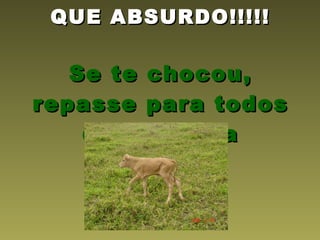 QUE ABSURDO!!!!! Se te chocou, repasse para todos da sua lista 