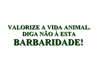 VALORIZE A VIDA ANIMAL. DIGA NÃO À ESTA  BARBARIDADE!   