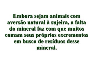 Embora sejam animais com aversão natural à sujeira, a falta do mineral faz com que muitos comam seus próprios excrementos em busca de resíduos desse mineral. 