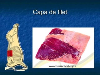 Capa de filet
 