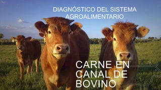 CARNE EN
CANAL DE
BOVINO
DIAGNÓSTICO DEL SISTEMA
AGROALIMENTARIO
 