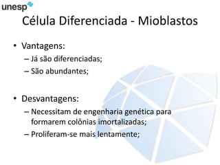 Célula Diferenciada - Mioblastos
• Vantagens:
– Já são diferenciadas;
– São abundantes;
• Desvantagens:
– Necessitam de engenharia genética para
formarem colônias imortalizadas;
– Proliferam-se mais lentamente;
 