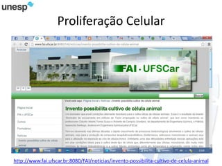 Proliferação Celular
http://www.fai.ufscar.br:8080/FAI/noticias/invento-possibilita-cultivo-de-celula-animal
 