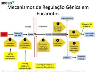 Mecanismos de Regulação Gênica em
Eucariotos
http://genmol.blogspot.com.br/2011/09/genetica-molecular-sinopse-do-controle.html
 