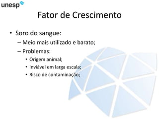 Fator de Crescimento
• Soro do sangue:
– Meio mais utilizado e barato;
– Problemas:
• Origem animal;
• Inviável em larga escala;
• Risco de contaminação;
 