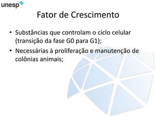 Fator de Crescimento
• Substâncias que controlam o ciclo celular
(transição da fase G0 para G1);
• Necessárias à proliferação e manutenção de
colônias animais;
 
