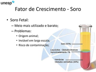 Fator de Crescimento - Soro
• Soro Fetal:
– Meio mais utilizado e barato;
– Problemas:
• Origem animal;
• Inviável em larga escala;
• Risco de contaminação;
 