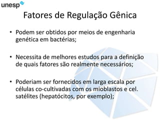 Fatores de Regulação Gênica
• Podem ser obtidos por meios de engenharia
genética em bactérias;
• Necessita de melhores estudos para a definição
de quais fatores são realmente necessários;
• Poderiam ser fornecidos em larga escala por
células co-cultivadas com os mioblastos e cel.
satélites (hepatócitos, por exemplo);
 