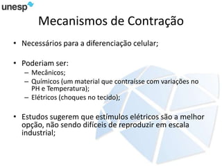 Mecanismos de Contração
• Necessários para a diferenciação celular;
• Poderiam ser:
– Mecânicos;
– Químicos (um material que contraísse com variações no
PH e Temperatura);
– Elétricos (choques no tecido);
• Estudos sugerem que estímulos elétricos são a melhor
opção, não sendo difíceis de reproduzir em escala
industrial;
 
