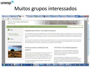 Muitos grupos interessados
 