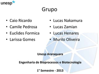 Grupo
• Caio Ricardo
• Camile Pedrosa
• Euclides Formica
• Larissa Gomes
• Lucas Nakamura
• Lucas Zamian
• Lucas Henares
• Murilo Oliveira
Unesp Araraquara
Engenharia de Bioprocessos e Biotecnologia
1° Semestre - 2013
 