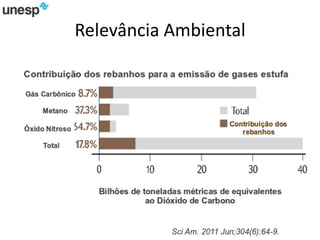 Relevância Ambiental
 