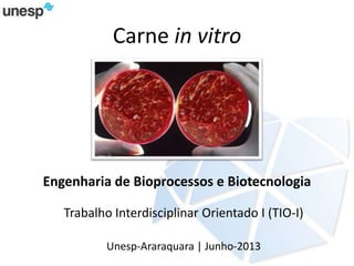 Carne in vitro
Engenharia de Bioprocessos e Biotecnologia
Trabalho Interdisciplinar Orientado I (TIO-I)
Unesp-Araraquara | Junho-2013
 