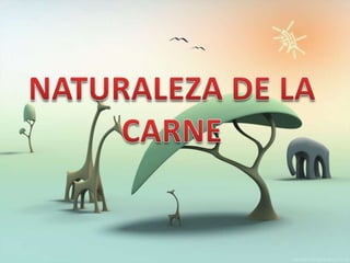 NATURALEZA DE LA  CARNE 