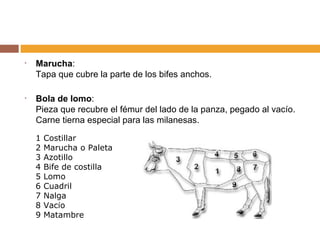 Marucha : Tapa que cubre la parte de los bifes anchos.  Bola de lomo : Pieza que recubre el fémur del lado de la panza, pegado al vacío. Carne tierna especial para las milanesas.                               1 Costillar   2 Marucha o Paleta 3 Azotillo 4 Bife de costilla 5 Lomo 6 Cuadril 7 Nalga 8 Vac í o 9 Matambre     