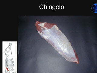 Powerpoint Templates   Page 42
 