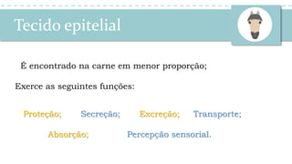 Tecido epitelial
É encontrado na carne em menor proporção;
Exerce as seguintes funções:
Proteção; Secreção; Excreção; Transporte;
Absorção; Percepção sensorial.
 
