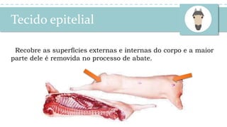 Tecido epitelial
Recobre as superfícies externas e internas do corpo e a maior
parte dele é removida no processo de abate.
 
