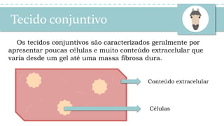 Tecido conjuntivo
Os tecidos conjuntivos são caracterizados geralmente por
apresentar poucas células e muito conteúdo extracelular que
varia desde um gel até uma massa fibrosa dura.
Conteúdo extracelular
Células
 