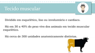 Tecido muscular
Dividido em esquelético, liso ou involuntário e cardíaco.
Há em 30 a 40% do peso vivo dos animais em tecido muscular
esquelético.
Há cerca de 300 unidades anatomicamente distintas.
30%
 