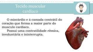 Tecido muscular
cardíaco
O miocárdio e á camada contrátil do
coração que forma a maior parte do
musculo cardíaco.
Possui uma contratilidade rítmica,
involuntária e ininterrupta.
 