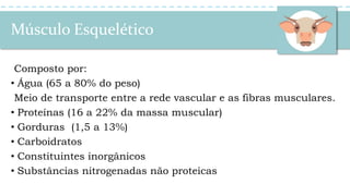 Músculo Esquelético
Composto por:
• Água (65 a 80% do peso)
Meio de transporte entre a rede vascular e as fibras musculares.
• Proteínas (16 a 22% da massa muscular)
• Gorduras (1,5 a 13%)
• Carboidratos
• Constituintes inorgânicos
• Substâncias nitrogenadas não proteicas
 