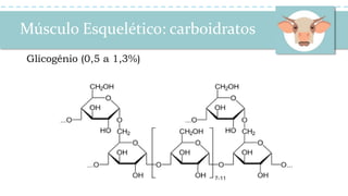 Músculo Esquelético: carboidratos
Glicogênio (0,5 a 1,3%)
 
