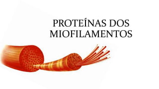 PROTEÍNAS DOS
MIOFILAMENTOS
 
