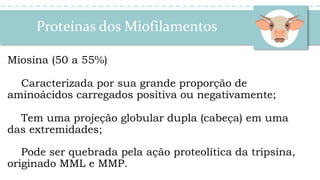 Proteínas dos Miofilamentos
Miosina (50 a 55%)
Caracterizada por sua grande proporção de
aminoácidos carregados positiva ou negativamente;
Tem uma projeção globular dupla (cabeça) em uma
das extremidades;
Pode ser quebrada pela ação proteolítica da tripsina,
originado MML e MMP.
 