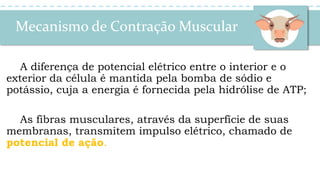Mecanismo de Contração Muscular
A diferença de potencial elétrico entre o interior e o
exterior da célula é mantida pela bomba de sódio e
potássio, cuja a energia é fornecida pela hidrólise de ATP;
As fibras musculares, através da superfície de suas
membranas, transmitem impulso elétrico, chamado de
potencial de ação.
 