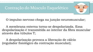 Contração do Músculo Esquelético
O impulso nervoso chega na junção neuromuscular;
A membrana externa torna-se despolarizada. Essa
despolarização é transmitida ao interior da fibra muscular
através dos túbulos T;
A despolarização provoca a liberação de cálcio
(regulador fisiológico da contração muscular);
 