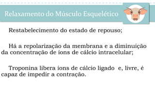 Relaxamento do Músculo Esquelético
Restabelecimento do estado de repouso;
Há a repolarização da membrana e a diminuição
da concentração de íons de cálcio intracelular;
Troponina libera íons de cálcio ligado e, livre, é
capaz de impedir a contração.
 