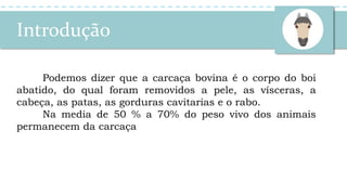Introdução
Podemos dizer que a carcaça bovina é o corpo do boi
abatido, do qual foram removidos a pele, as vísceras, a
cabeça, as patas, as gorduras cavitarias e o rabo.
Na media de 50 % a 70% do peso vivo dos animais
permanecem da carcaça
 