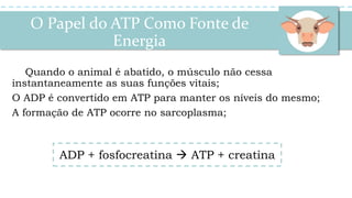 Quando o animal é abatido, o músculo não cessa
instantaneamente as suas funções vitais;
O ADP é convertido em ATP para manter os níveis do mesmo;
A formação de ATP ocorre no sarcoplasma;
O Papel do ATP Como Fonte de
Energia
ADP + fosfocreatina  ATP + creatina
 