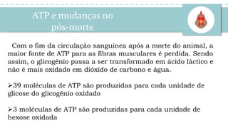 Com o fim da circulação sanguínea após a morte do animal, a
maior fonte de ATP para as fibras musculares é perdida. Sendo
assim, o glicogênio passa a ser transformado em ácido láctico e
não é mais oxidado em dióxido de carbono e água.
39 moléculas de ATP são produzidas para cada unidade de
glicose do glicogênio oxidado
3 moléculas de ATP são produzidas para cada unidade de
hexose oxidada
ATP e mudanças no
pós-morte
 