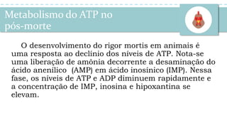 Metabolismo do ATP no
pós-morte
O desenvolvimento do rigor mortis em animais é
uma resposta ao declínio dos níveis de ATP. Nota-se
uma liberação de amônia decorrente a desaminação do
ácido anenílico (AMP) em ácido inosínico (IMP). Nessa
fase, os níveis de ATP e ADP diminuem rapidamente e
a concentração de IMP, inosina e hipoxantina se
elevam.
 