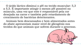 O ácido láctico diminui o pH no tecido muscular: 5,3
a 5,5. É importante atingir o menos pH possível no
músculo, uma vez que este é responsável pela cor
desejada na carne e também pelo retardamento de
crescimento de bactérias deteriorantes.
Animais bem descansados e bem alimentados antes
do abate apresentam maior nível de glicogênio nos
tecidos do que animais que sofrem durante o processo.
 