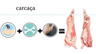 carcaça
 