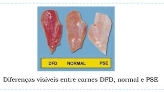 Diferenças visíveis entre carnes DFD, normal e PSE
 