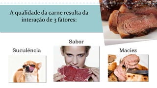 A qualidade da carne resulta da
interação de 3 fatores:
Suculência Maciez
Sabor
 