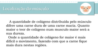 Localização do músculo
A quantidade de colágeno distribuída pelo músculo
difere uma carne dura de uma carne macia. Quanto
maior o teor de colágeno num musculo maior será a
sua dureza.
Onde a quantidade de colágeno for maior é mais
difícil o movimento, fazendo com que a carne fique
mais dura nestas regiões.
 