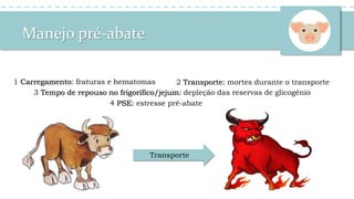 Manejo pré-abate
2 Transporte: mortes durante o transporte1 Carregamento: fraturas e hematomas
3 Tempo de repouso no frigorífico/jejum: depleção das reservas de glicogênio
4 PSE: estresse pré-abate
Transporte
 