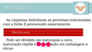 MATURAÇÃO
Pode ser dividido em maturação a seco,
maturação rápida e a maturação em embalagem a
vácuo.
As calpaínas hidrolisam as proteínas relacionadas
com a linha Z provocando amaciamento
Fibras da carne
 
